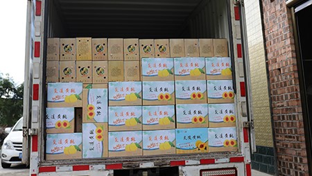 助銷黃桃社會扶貧，關(guān)愛員工送高溫福利